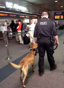 A guard and dog patrol the Piedmont Triad International Airport in Greensboro, N.C., where an illegal immigrant was found in March working as airplane mechanic using a fake Social Security card he bought on a soccer field.