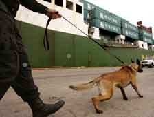 An Immigration Customs Enforcement agent walks with his bomb sniffing dog in the Red Hook district of Brooklyn, New York. The Customs and Border Protection Division of the DHS has released details on how it&apos;s using more advanced technologies to secure por