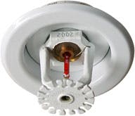 Tyco unveiled its Rapid Response home sprinkler/fire surpression line at the 2006 International Builders Show.