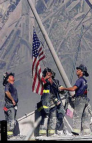 1157739185460 10557170