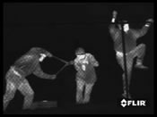 FLIR Systems' thermal imaging surveillance systems can detect the heat signatures of intruders. The company's technology has been purchased by some airports to use for a DHS perimeter security initiative.
