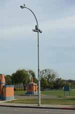 Richmond Park1 jpg 10474497