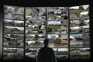 Indigo Vision 10216785