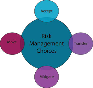 Senior Management has four options in managing risk: to accept it and do nothing; to transfer it (by purchasing insurance, for instance); to move it or move from it; or to mitigate it.