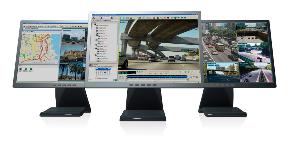 Indigo Vision 10217746