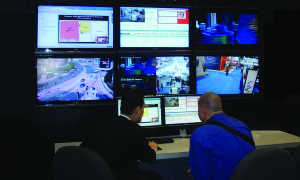 Riscosynsopis 10284166