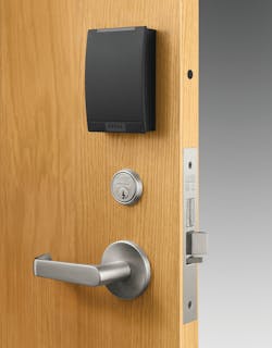 Sargentincepta 10524431 Sargentincepta 10524431