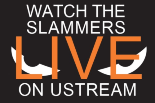 Baseball team live-streams with Axis cameras