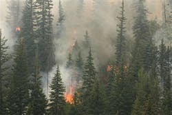 Bold Technologies was recently forced to evacuate its offices in Colorado Springs, Colo., due to the outbreak of wildfires in the region. Bold Technologies was recently forced to evacuate its offices in Colorado Springs, Colo., due to the outbreak of wildfires in the region.