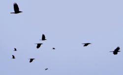 What's your migration strategy for your physical security systems like access control and identity management? Swapping technology is only part of the conversation. What's your migration strategy for your physical security systems like access control and identity management? Swapping technology is only part of the conversation.