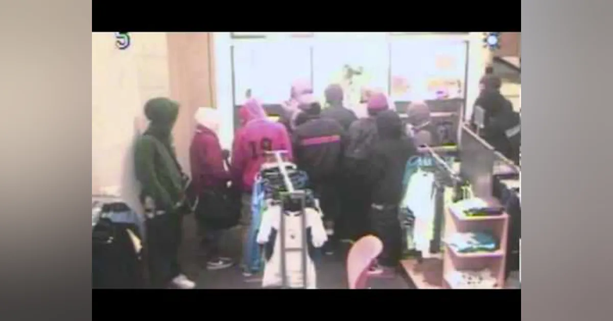Flash Robbing Video: Flash rob (flash mob) at mall's Nordstrom store | Security Info ...