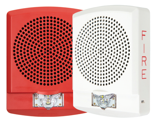 Lspstw Lspstr 10890738