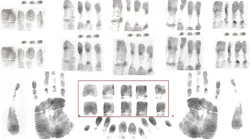 Lockheed Martin, the FBI’s NGI integrator, incorporated Morpho’s latest algorithms to process and match latent finger and palm prints, including, for the first time ever, all the friction ridge areas of the hand. New MorphoTrak-supplied expert latent workstation software was enhanced and customized based on collaboration with Lockheed Martin and the FBI as part of this third and largest phase of the NGI implementation.