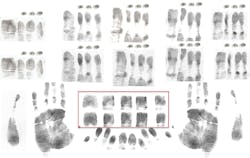 Lockheed Martin, the FBI’s NGI integrator, incorporated Morpho’s latest algorithms to process and match latent finger and palm prints, including, for the first time ever, all the friction ridge areas of the hand. New MorphoTrak-supplied expert latent workstation software was enhanced and customized based on collaboration with Lockheed Martin and the FBI as part of this third and largest phase of the NGI implementation. Lockheed Martin, the FBI’s NGI integrator, incorporated Morpho’s latest algorithms to process and match latent finger and palm prints, including, for the first time ever, all the friction ridge areas of the hand. New MorphoTrak-supplied expert latent workstation software was enhanced and customized based on collaboration with Lockheed Martin and the FBI as part of this third and largest phase of the NGI implementation.