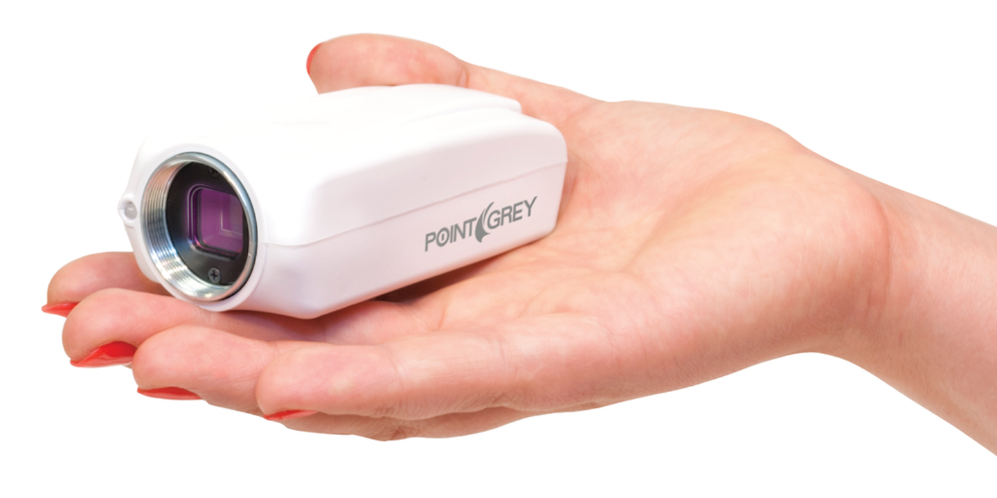 Cricket IP security camera family From Point Grey Security Info Watch