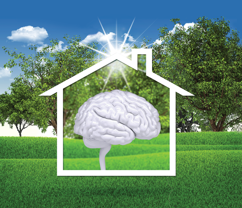 Housewithbrain 11707573