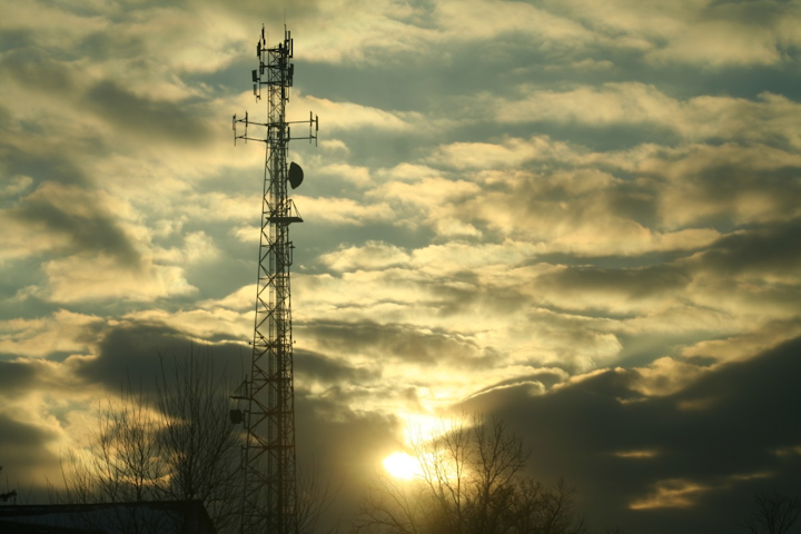 For the first time ever in a national telephone survey, a majority of households did not own a landline and relied on cellphone service only, the National Center for Health Statistics revealed this week.
