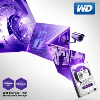 western digital nvr