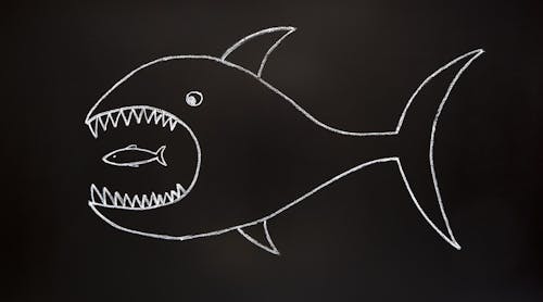 In the security industry, it seems like there&rsquo;s always a bigger fish. Get a handle on the impact of M&amp;A activity in this exclusive SD&amp;I/SecurityInfoWatch roundtable.