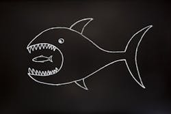 In the security industry, it seems like there’s always a bigger fish. Get a handle on the impact of M&A activity in this exclusive SD&I/SecurityInfoWatch roundtable. In the security industry, it seems like there’s always a bigger fish. Get a handle on the impact of M&A activity in this exclusive SD&I/SecurityInfoWatch roundtable.