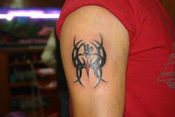 Tattoo images have traditionally been regarded as a soft biometric -- that is, visual information that can be used to narrow down the range of candidates for identification and investigation, but cannot be used to explicitly identify an individual. Tattoo images have traditionally been regarded as a soft biometric -- that is, visual information that can be used to narrow down the range of candidates for identification and investigation, but cannot be used to explicitly identify an individual.