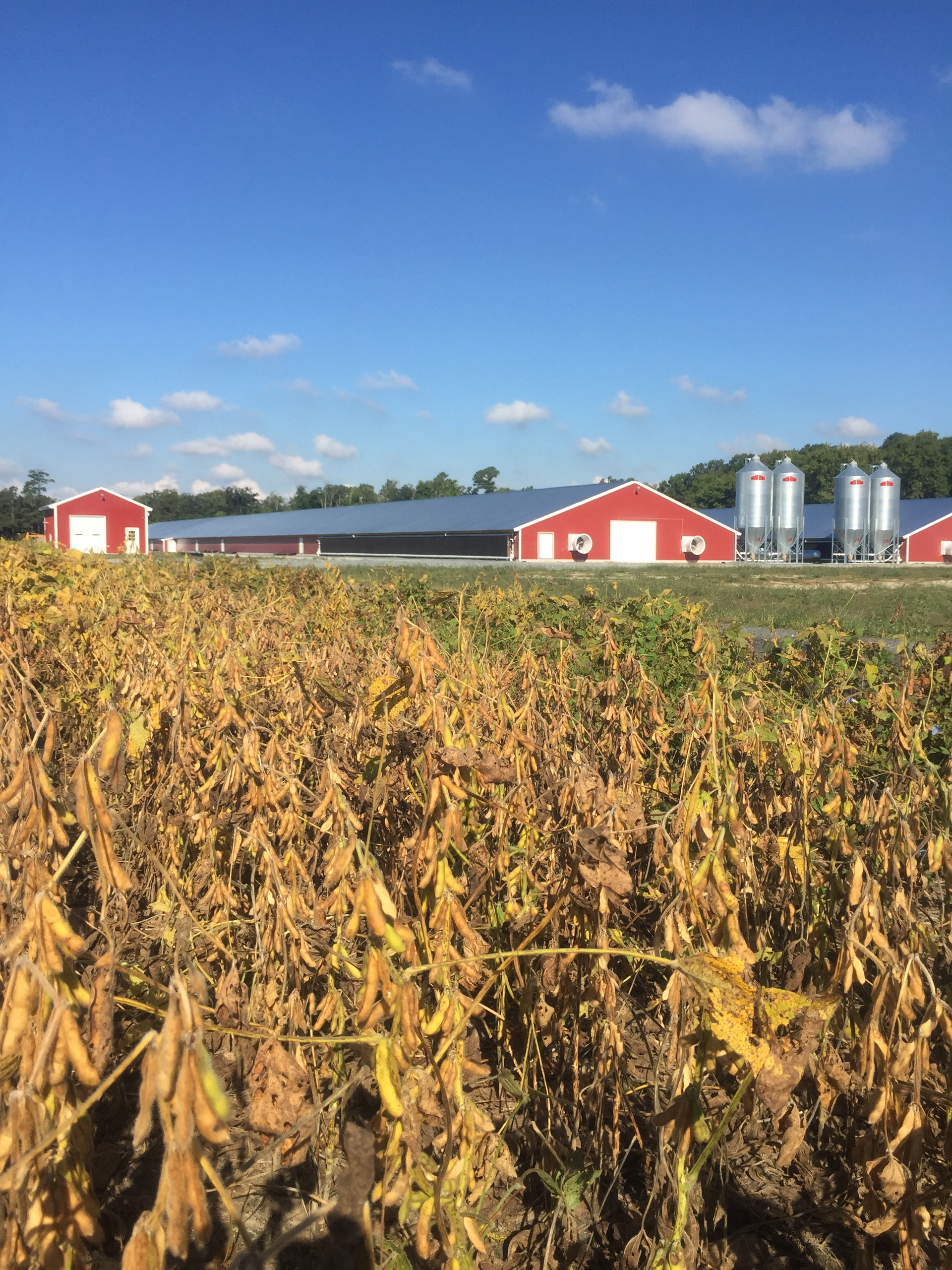 Security technology can help protect a farm's expensive equipment and valuable livestock.