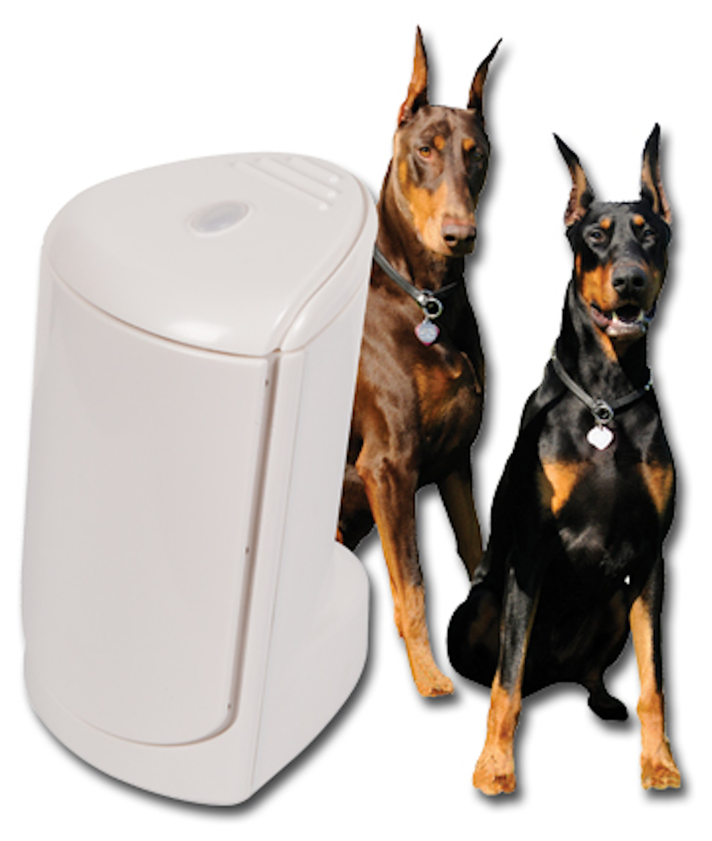 Rex Plus II electronic watchdog alarm From Safety Technology