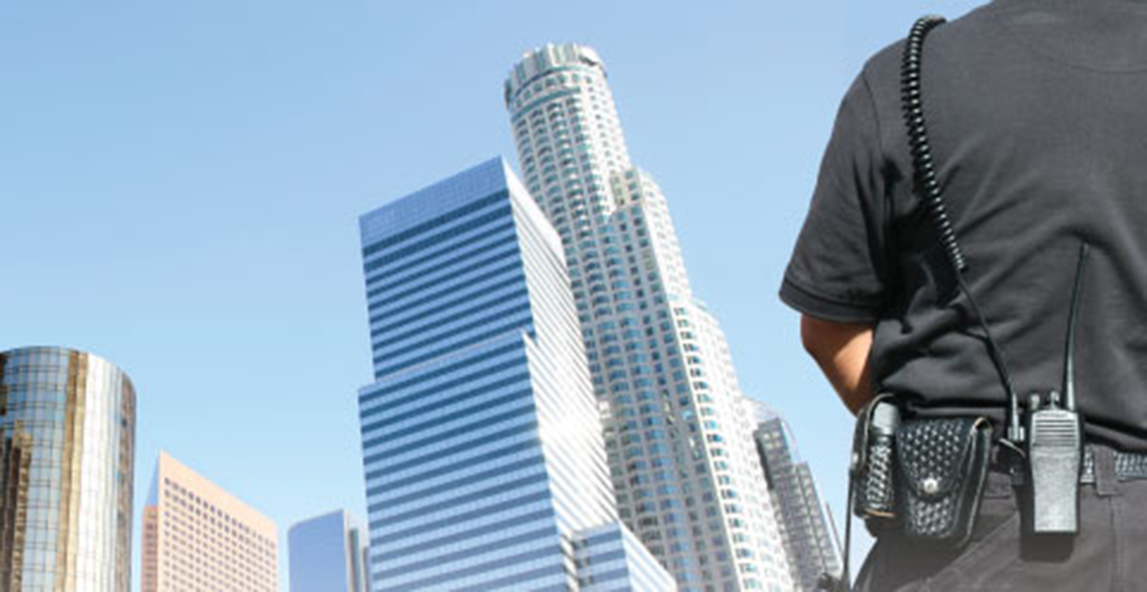 nfc wp pop promo 1 57b3784c9395c