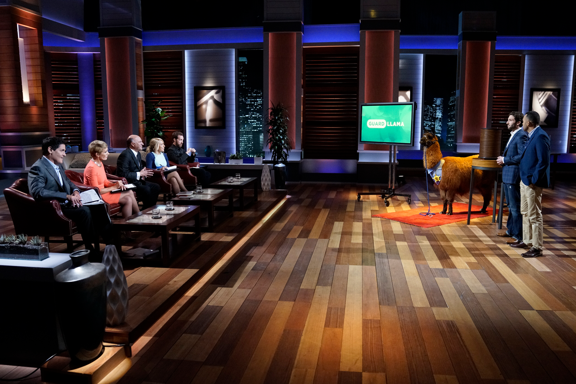 Joseph Parisi and Nick Nevarez present Guard Llama to the Shark Tank, including Mark Cuban, Barbara Corcoran, Kevin O'Leary, Lori Greiner and Chris Sacca. The duo ended up striking a deal with Corcoran.