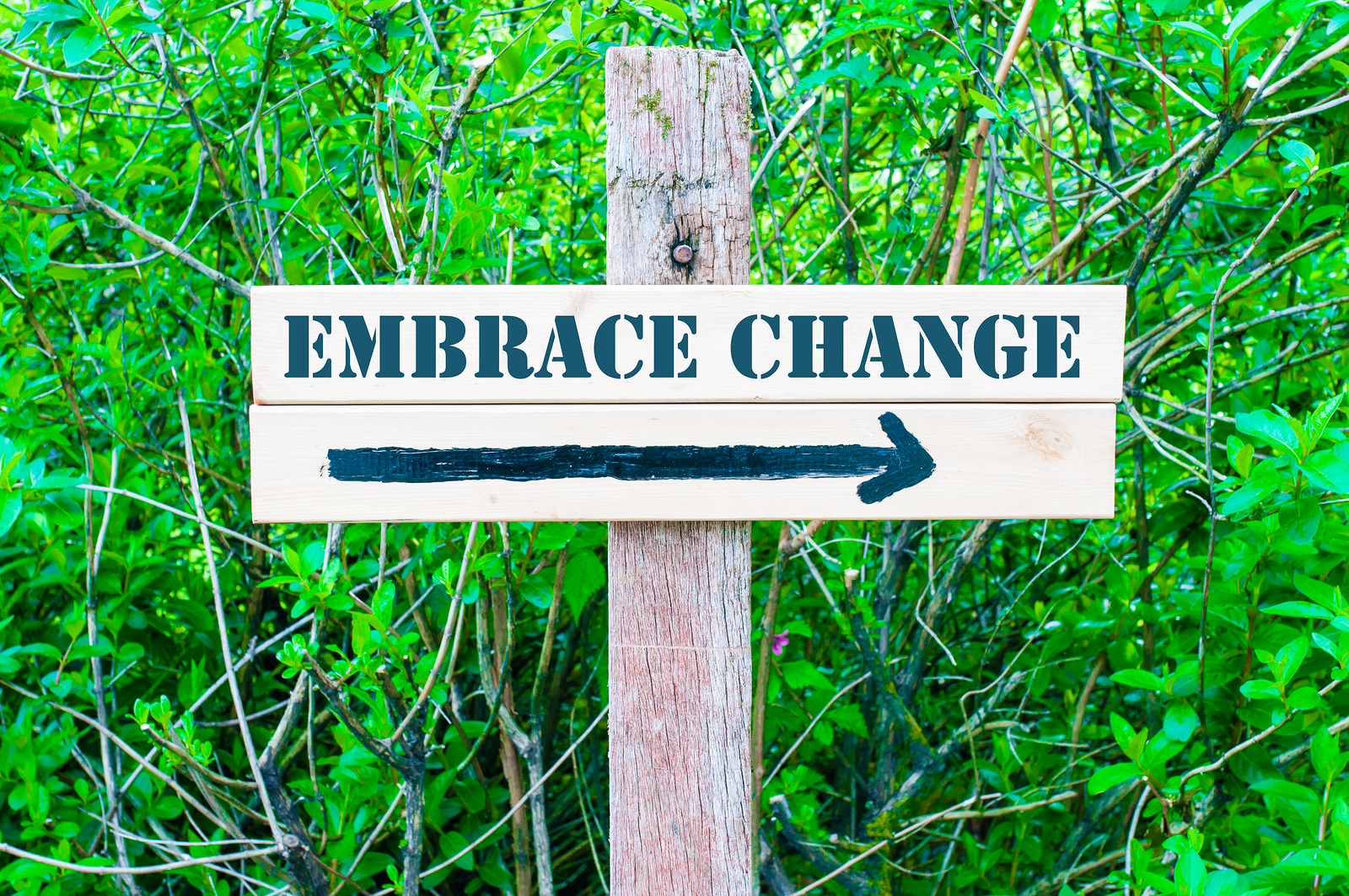 There are many positive reasons that integrators can share with their customers about why they should embrace change.