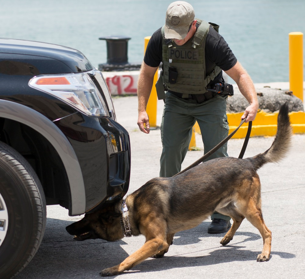 The U.S. Department of Homeland Security (DHS) Science and Technology Directorate (S&T) recently created the Regional Explosives Detection Dog Initiative (REDDI) as part of an effort to identify various capability gaps and provide state and local law enforcement agencies with tools they need to stay ahead of the curve.