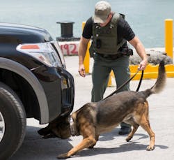 The U.S. Department of Homeland Security (DHS) Science and Technology Directorate (S&T) recently created the Regional Explosives Detection Dog Initiative (REDDI) as part of an effort to identify various capability gaps and provide state and local law enforcement agencies with tools they need to stay ahead of the curve. The U.S. Department of Homeland Security (DHS) Science and Technology Directorate (S&T) recently created the Regional Explosives Detection Dog Initiative (REDDI) as part of an effort to identify various capability gaps and provide state and local law enforcement agencies with tools they need to stay ahead of the curve.