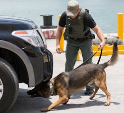 The U.S. Department of Homeland Security (DHS) Science and Technology Directorate (S&amp;T) recently created the Regional Explosives Detection Dog Initiative (REDDI) as part of an effort to identify various capability gaps and provide state and local law enforcement agencies with tools they need to stay ahead of the curve.