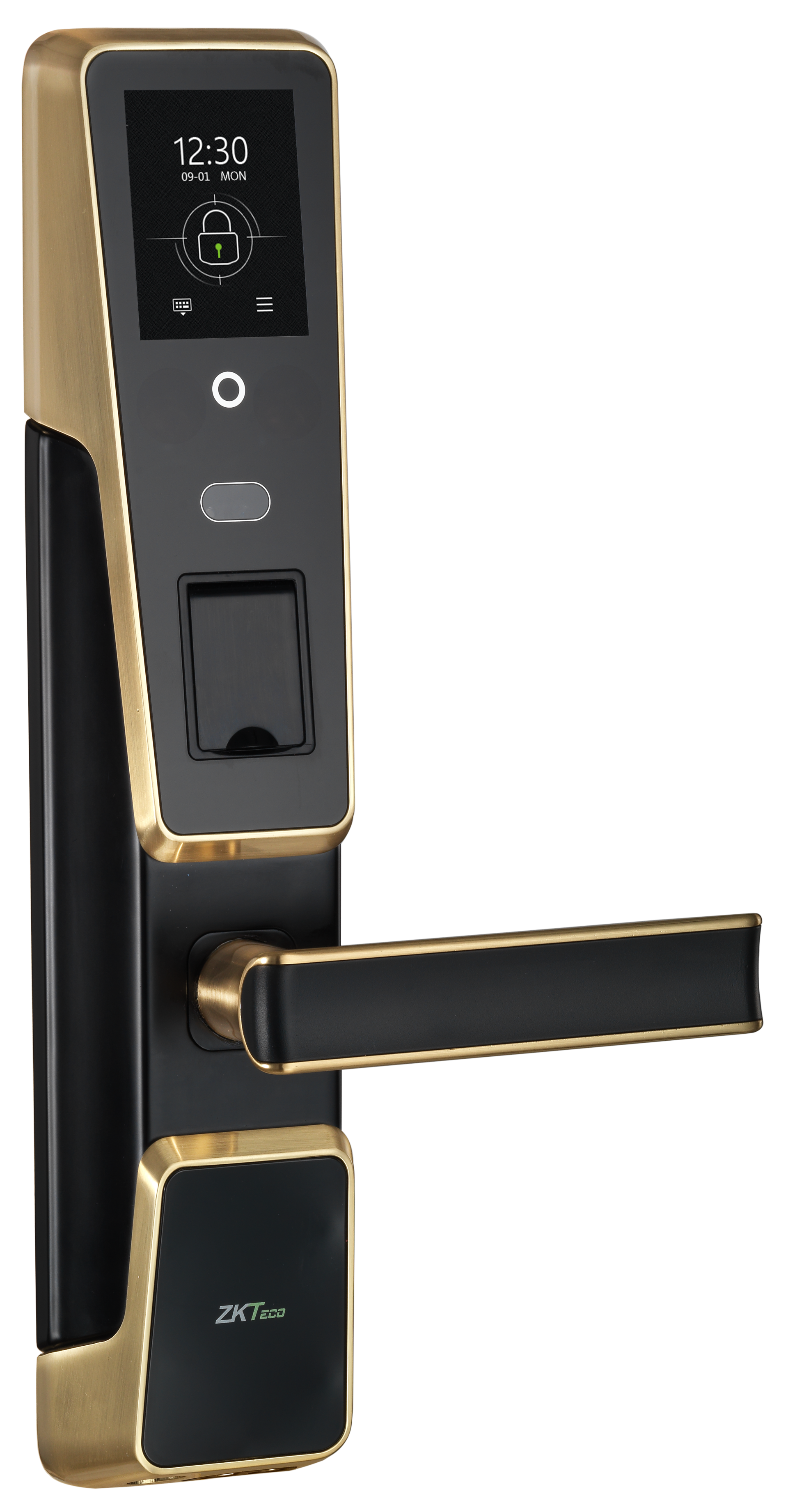 ZM100 gold 2 5a9578f8ee455