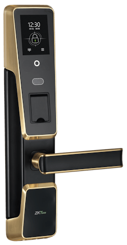 Zm100 Gold 2 5a9578f8ee455 Zm100 Gold 2 5a9578f8ee455