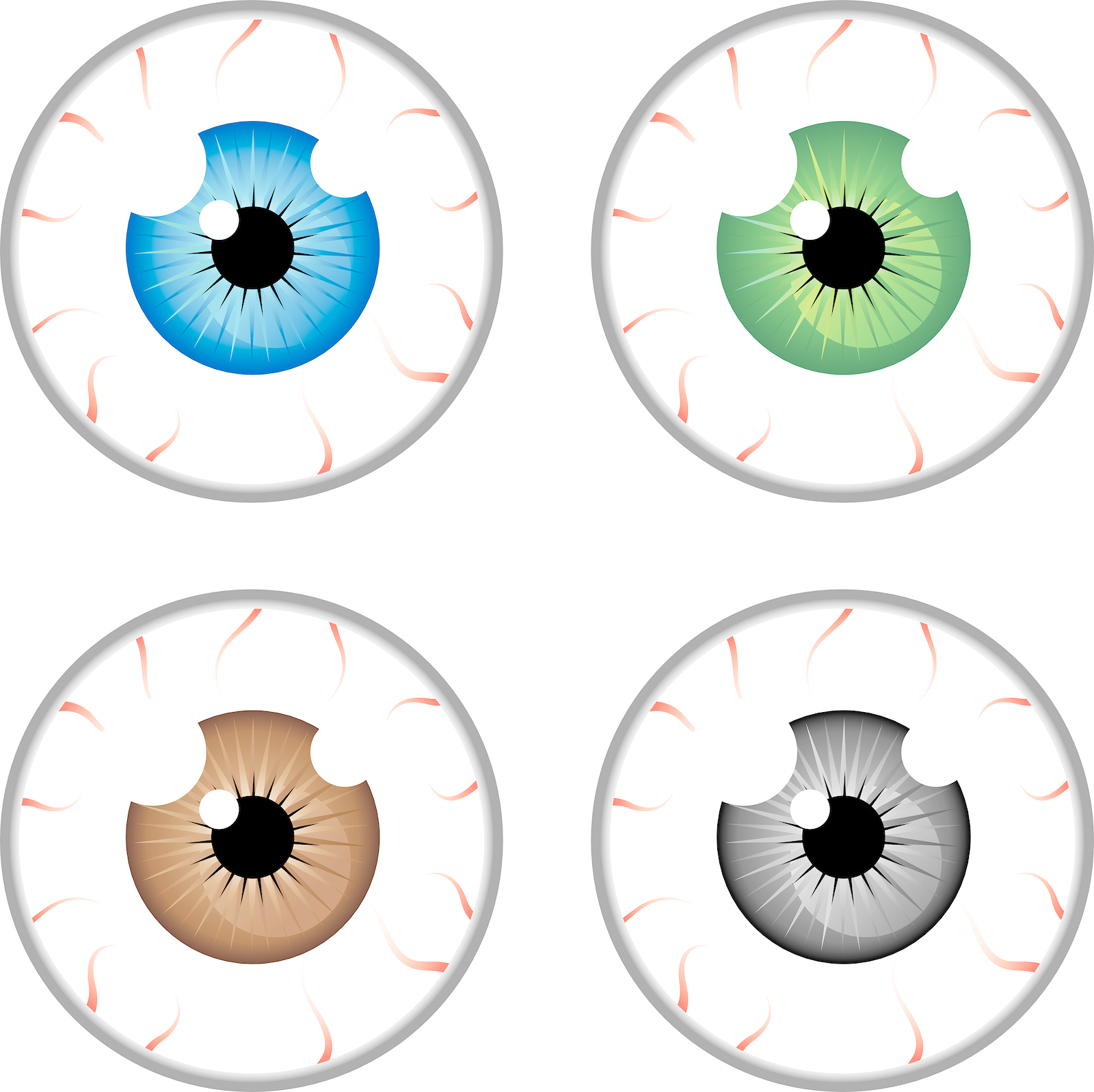 By combining up to four individual sensors &ndash; or camera heads &ndash; into a single housing, multi-sensor cameras can replace multiple cameras, and the ability to deliver high-quality 180&deg; or 360&deg; panoramic views of a scene.