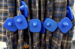 According to the 30th Annual Retail Theft Survey conducted by Jack L. Hayes International, more than 432,000 shoplifters and dishonest employees were apprehended in 2017 by just 21 large retailers who recovered over $188 million from these thieves. According to the 30th Annual Retail Theft Survey conducted by Jack L. Hayes International, more than 432,000 shoplifters and dishonest employees were apprehended in 2017 by just 21 large retailers who recovered over $188 million from these thieves.