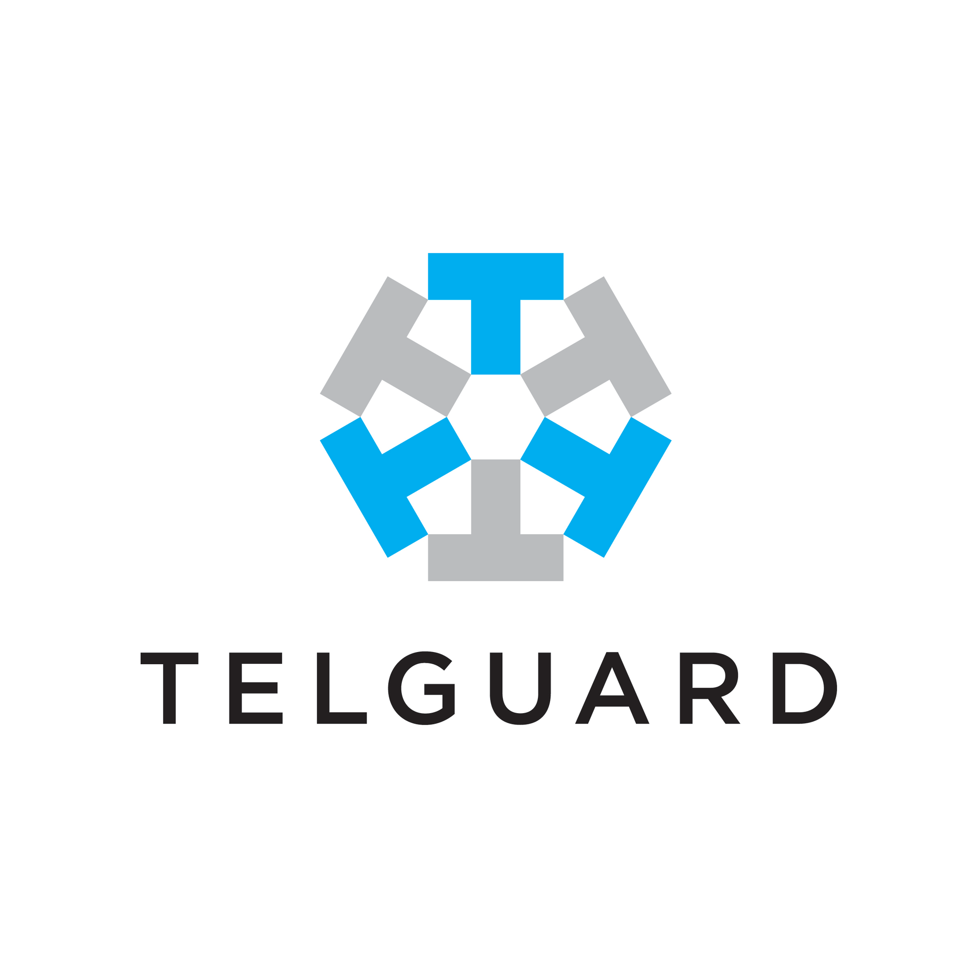 Telguard Logo