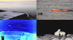 . Polar bears can be detected early by the cameras thanks to their thermal imaging technology – even when the animals are swimming or are far off in the distance.