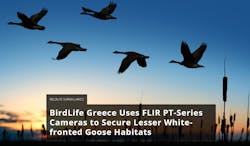 Flir Birds Smartpaper 5c5cffb533171 Flir Birds Smartpaper 5c5cffb533171