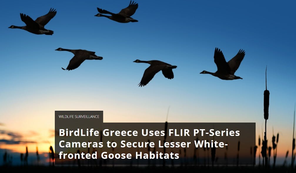 Flir Birds Smartpaper