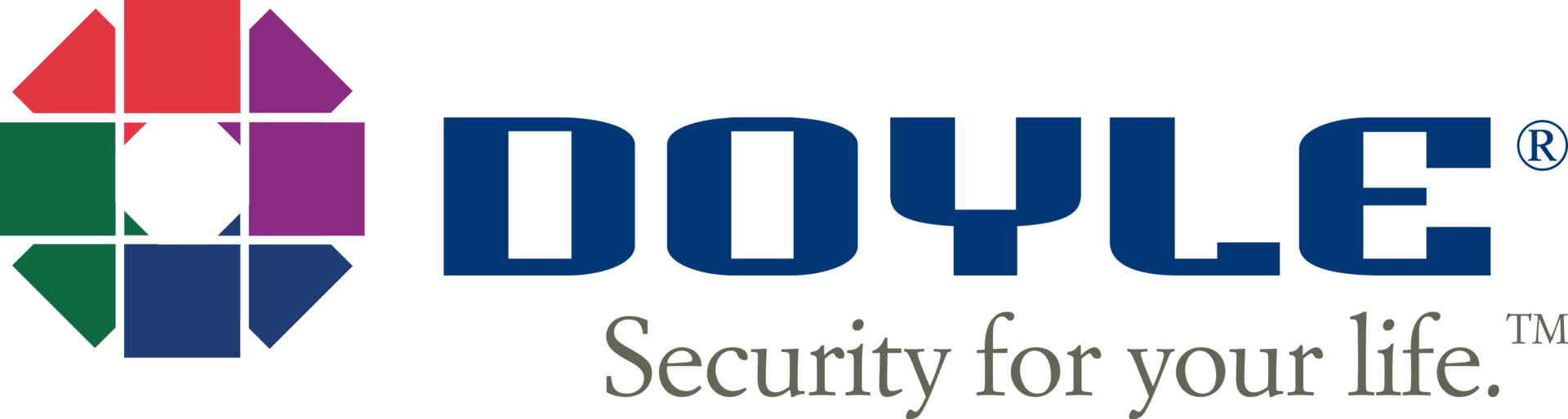 Doyle Security Systems Logo 5c9a6645901e1