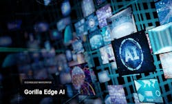 Gorilla Smartpaper 5ced8076995ca Gorilla Smartpaper 5ced8076995ca