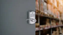Smart Code 955 Lifestyle (current)