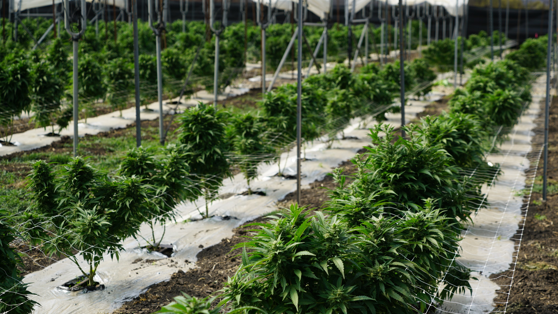 The facility is approximately 30,000 square feet in size, and the infinias system manages access for eight doors and an inventory cage. Except for one exterior door, all other managed doors are on the interior.