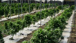 The facility is approximately 30,000 square feet in size, and the infinias system manages access for eight doors and an inventory cage. Except for one exterior door, all other managed doors are on the interior. The facility is approximately 30,000 square feet in size, and the infinias system manages access for eight doors and an inventory cage. Except for one exterior door, all other managed doors are on the interior.