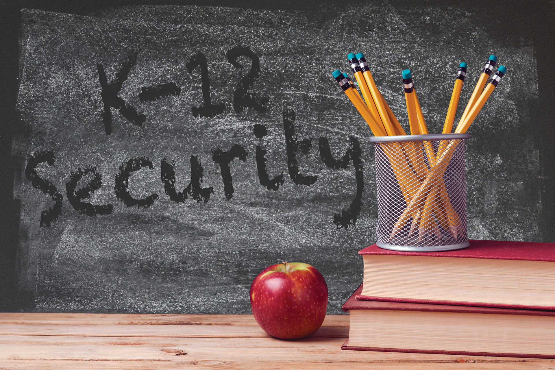 From technology options to developing RMR, security integrators have many opportunities to flourish in the school vertical