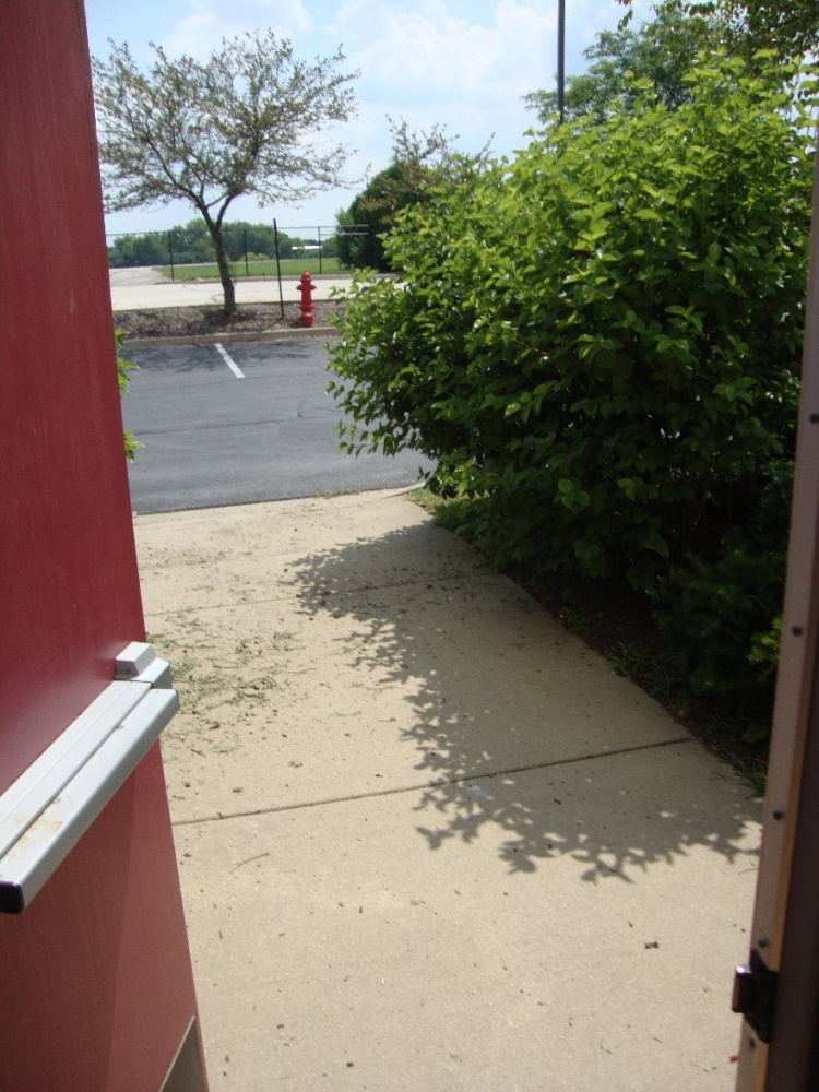 Vegetation that is not properly trimmed affords areas of concealment to those with malevolent intent.