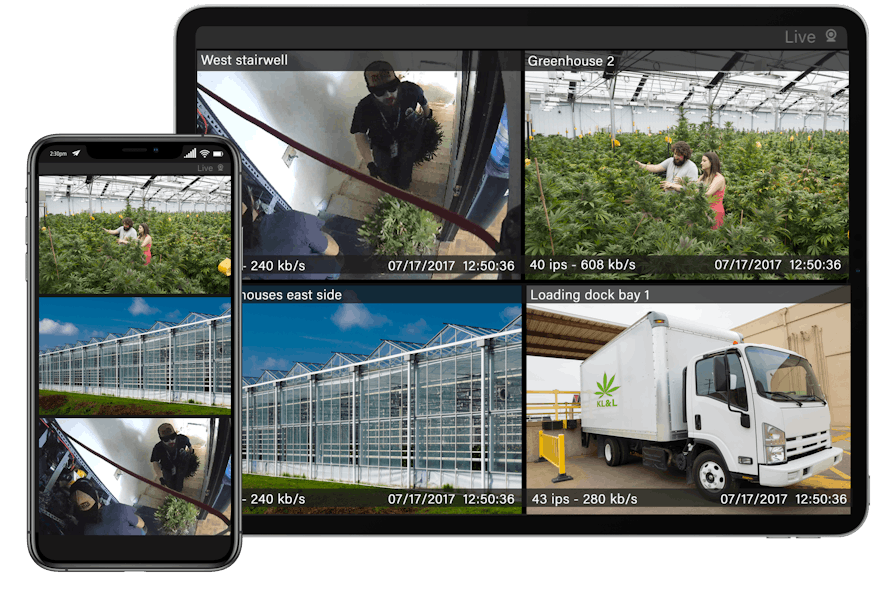 Most cannabis businesses already have video surveillance in place to comply with security regulations, but what they may not know is how that system can help them now like never before.