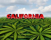 Cracking the code on California cannabis law is complex and won&rsquo;t get easier any time soon.